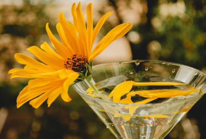 Fresh Startup Ideas For Your Winery Business Ideas